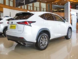 Lexus NX 16