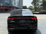 Geely Preface (Xingrui) 21