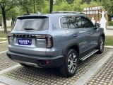 Haval Dargo (Big Dog) 21