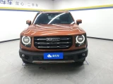Haval Dargo (Big Dog) 12