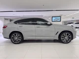BMW X4 24