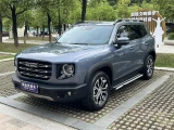 Haval Dargo (Big Dog) 27