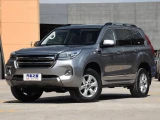 Haval H9 19