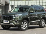 Haval H9 6