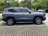 Haval Dargo (Big Dog) 23