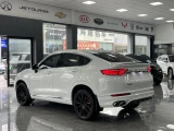 Geely Tugella (Xingyue) 31