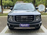 Haval Dargo (Big Dog) 26