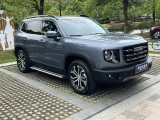 Haval Dargo (Big Dog) 25