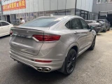 Geely Tugella (Xingyue) 17